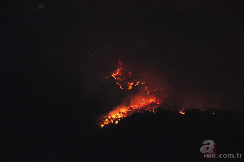 Türkiye'nin ciğerleri alev alev yandı! İşte dehşete düşüren yangında son durum 3