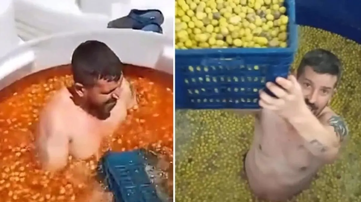 Zeytin tankına çıplak girdi! İğrenç görüntüleri paylaşan kişi tutuklandı