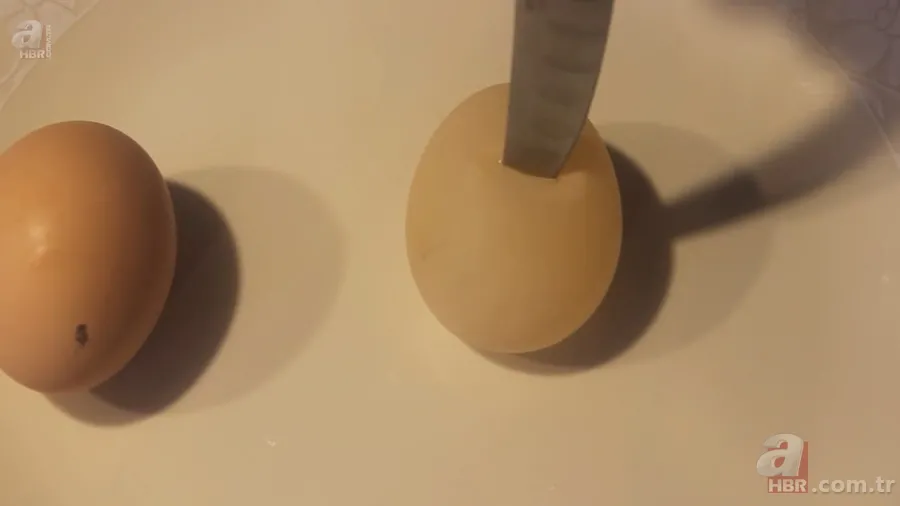 Beslediği tavuğun yumurtasını almak için kümese girdi! Yumurtayı eline alınca gözlerine inanamadı 22