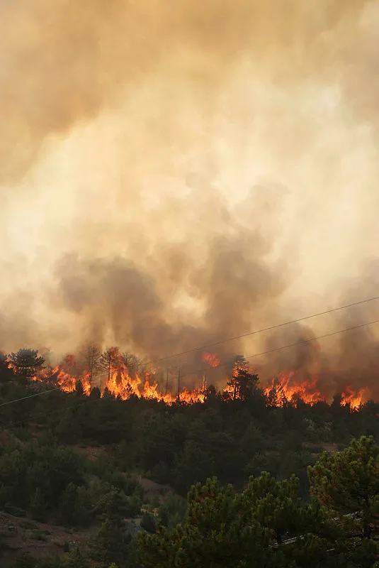 Son dakika haberi: Manavgat’taki yangını çıkaran 16 yaşındaki şahıs tutuklandı