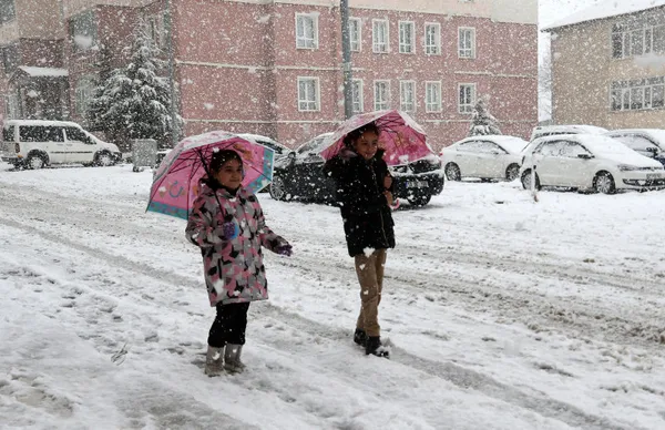 Bingöl'de kar nedeniyle 23 köy yolu ulaşıma kapandı - 2