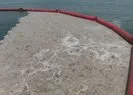 Yalova kıyılarından 1662 metreküp müsilaj toplandı