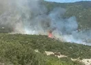Antalya Kaşta orman yangını