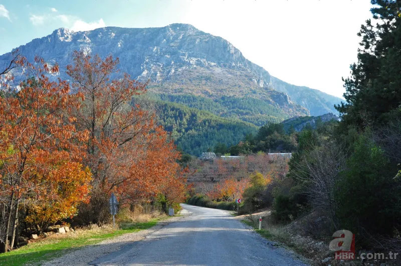 Sonbaharın renkleri Spil Dağı'nda! Orman manzarası mest etti 15