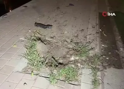 Adana’da otomobil sulama kanalına düştü