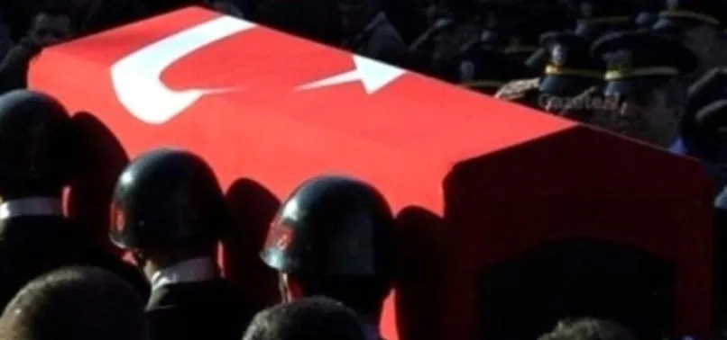 Son dakika: Barış Pınarı Harekatı'nda 1 asker şehit oldu