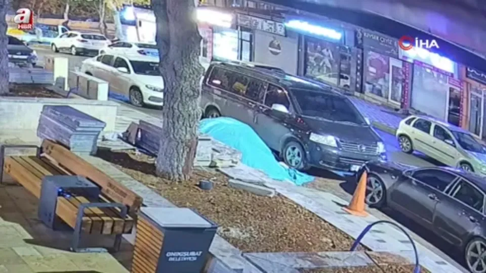 Bu da ağaç hırsızlığı