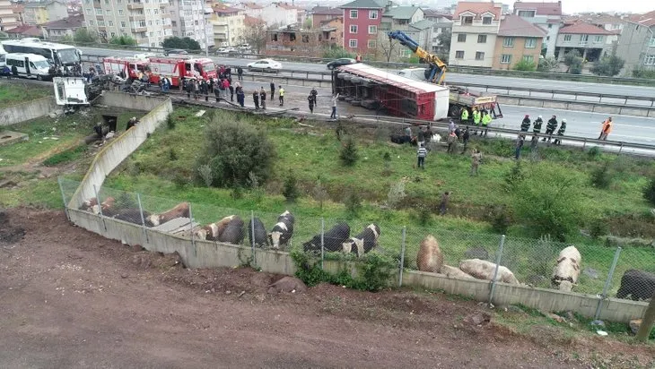 TEM Otoyolu'nu ulaşıma kapatan kaza!