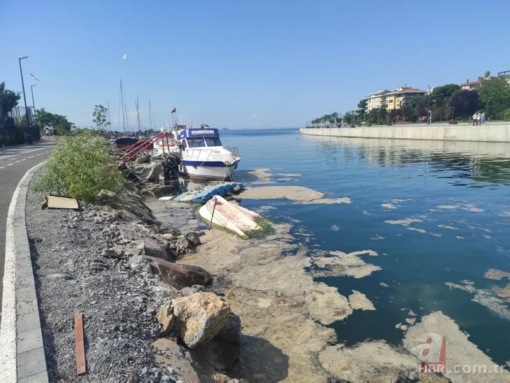 Marmara’da ne kadar müsilaj temizlendi? Çalışmalardan yeni görüntüler paylaşıldı