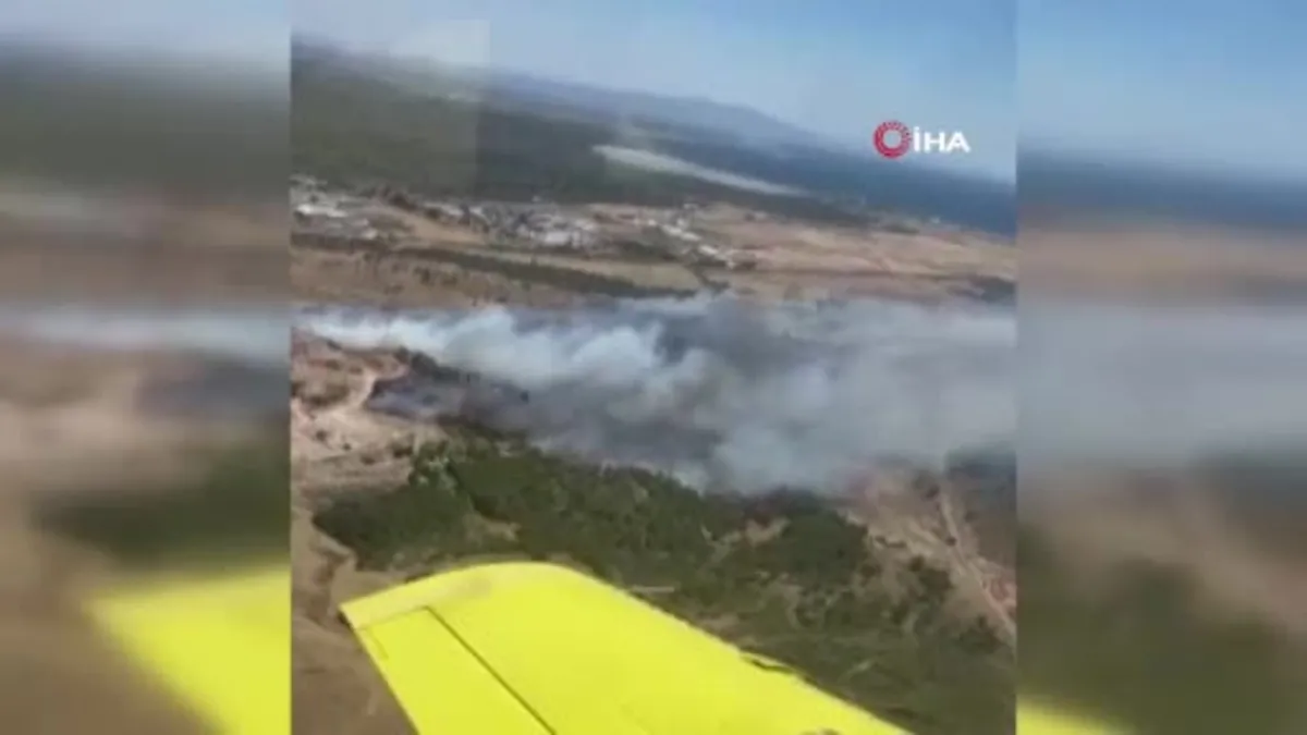 Ayvalık’ta çöplükte çıkan yangın otluk araziye sıçradı