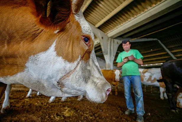 Son dakika: Kurban Bayramı genelgesi yayımlandı mı? Bayramda sokağa çıkma yasağı var mı?