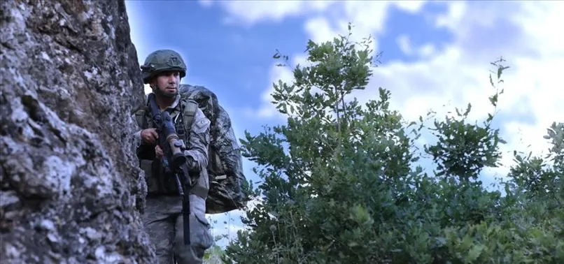 Son dakika | İçişleri Bakanlığı duyurdu! 1 PKK'lı terörist teslim oldu