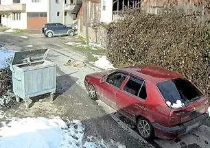 Bolu'da akılalmaz olay! Köpeği ezip yoluna devam etti