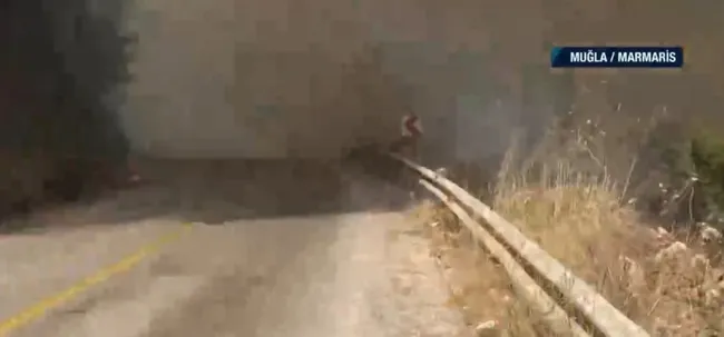 Kızıl Çam ormanları kül oluyor! A Haber’de tüm Türkiye mesaj: Ormanlarımıza sahip çıkalım