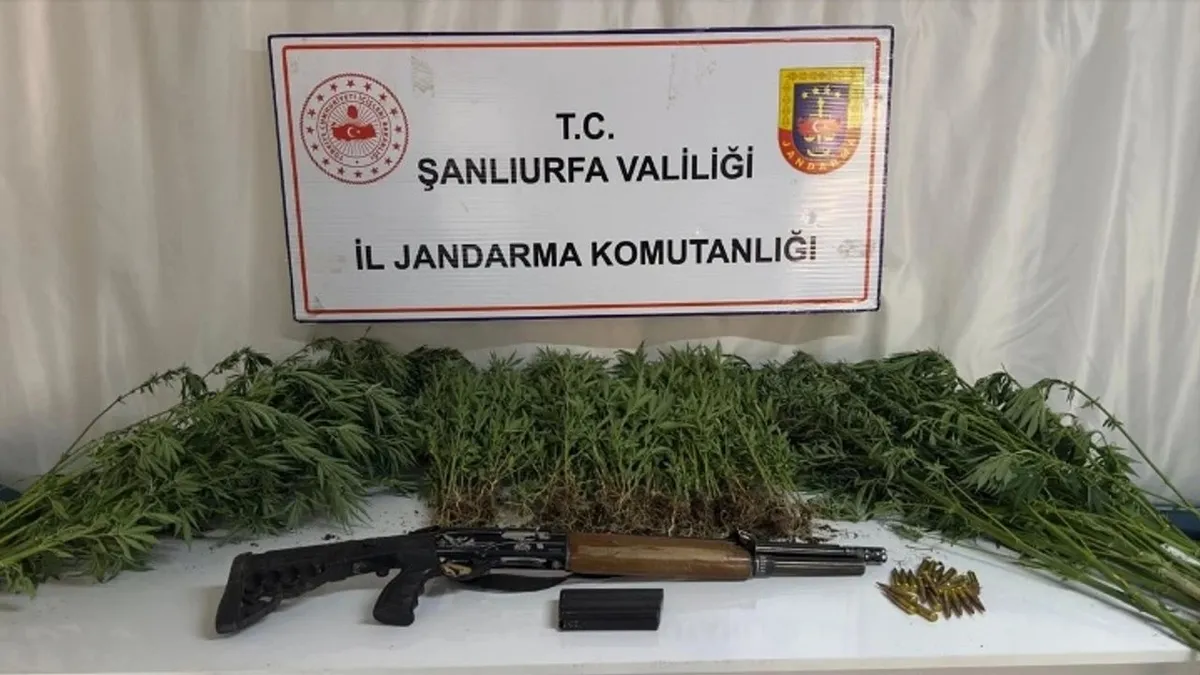 Şanlıurfa'da uyuşturucu ve silah kaçakçılığı operasyonunda 6 şüpheli yakalandı