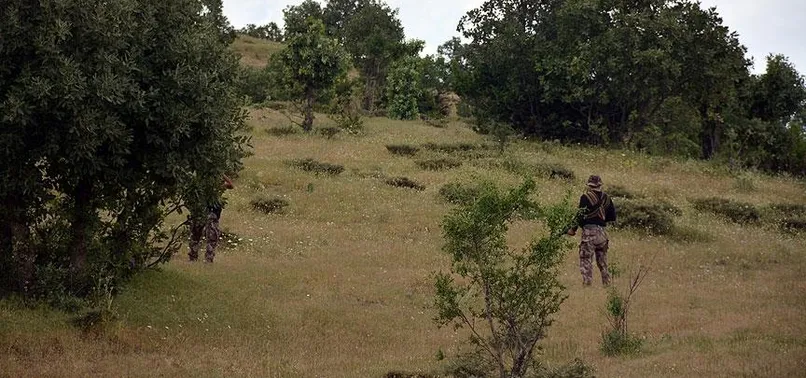 Muş'ta 2 terörist etkisiz hale getirildi