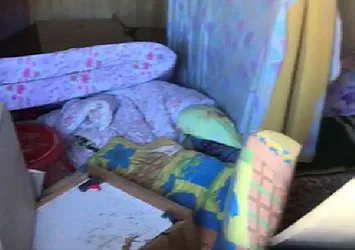 Rize’de aç kalan ayı evin altını üstüne getirdi