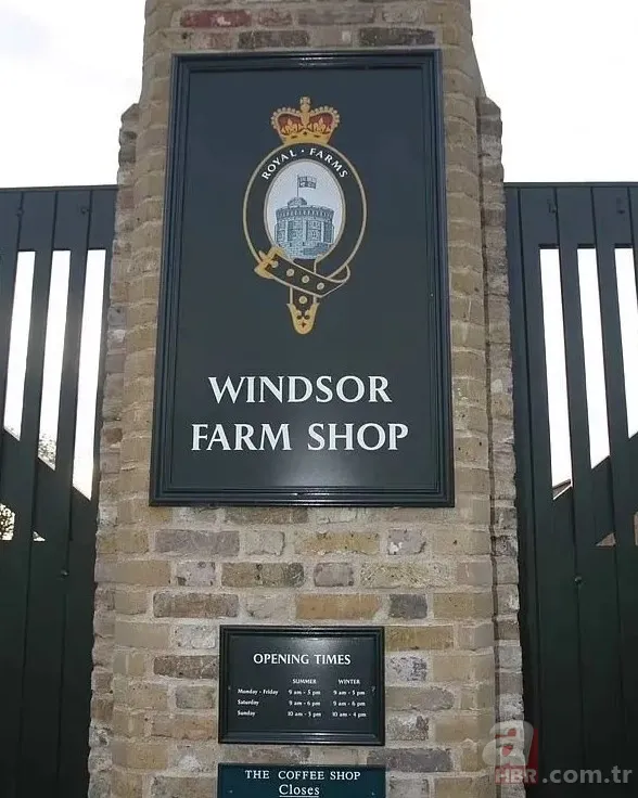 Kate Middleton bulundu mu? 83 gün sonra ortaya çıktı, kimse inanmadı! Görüntülerdeki kişi kim? 9