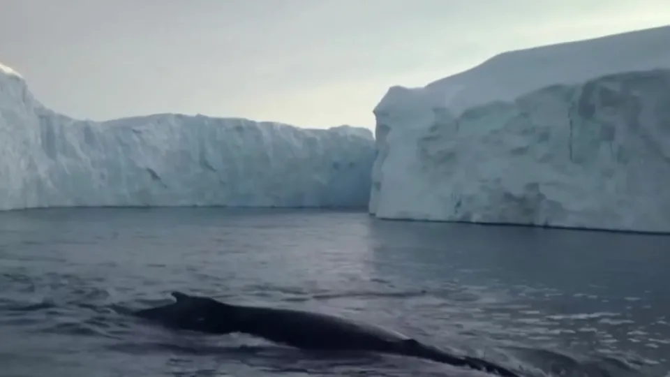 Dünya Meteoroloji Örgütü’nden su uyarısı!