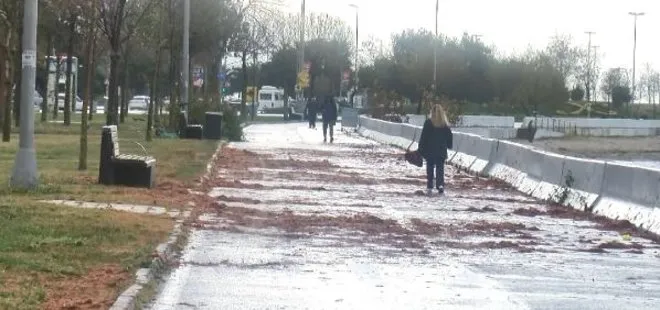 İstanbul’da şiddetli lodos etkili oldu! Caddebostan sahilini kırmızı yosunlar kapladı