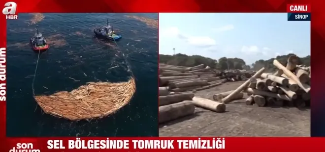 Afet bölgesi Sinop’ta tomruk temizliği