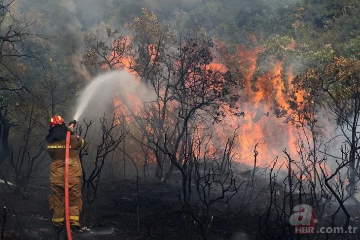 Avrupa böyle yangın görmedi: Yunanistan 14 gündür yanıyor! Havadan müdahale durdu