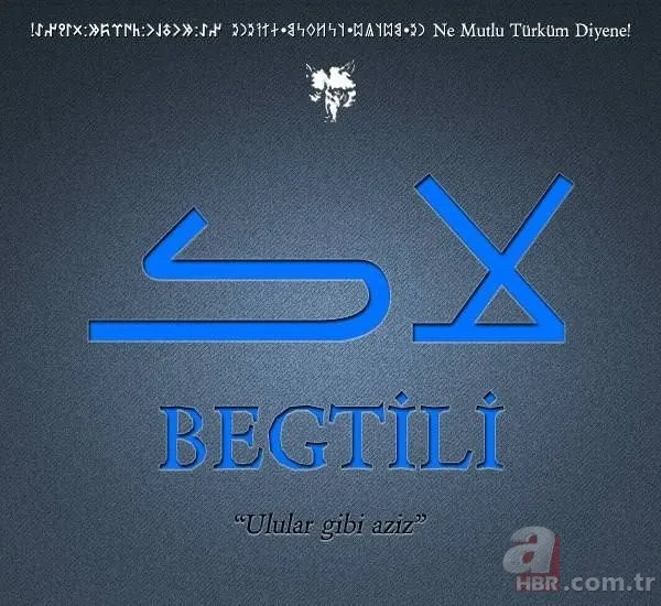 Türkiye'de hangi il hangi Türk boyundan geliyor? Şehirlerin soyağacı ortaya çıktı! 47