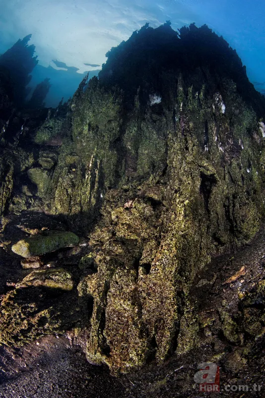 Mehmetçik Van Gölü'nde yaşayan ikinci balık türünü buldu 11