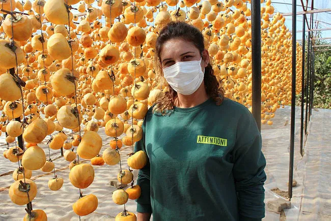 Manisalı Melek 40 kilo ile başladı şimdi yıllık 50 ton cennet elmasını kurutup satıyor - 7