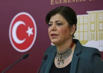 HDP'li vekil Meral Danış Beştaş gözaltına alındı