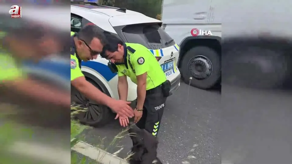 Zincirleme kazadan sonra yol ortasında kalan köpeğe polis sahip çıktı
