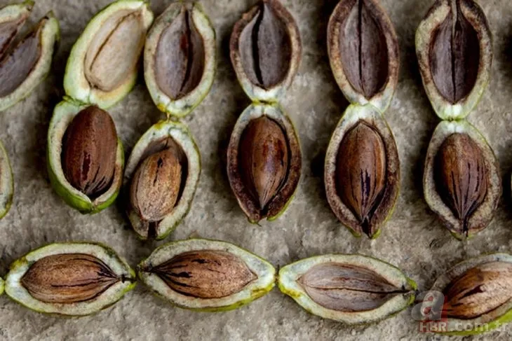 Öyle bir iş kurdu ki paraya para demiyor! Bu iş için mühendisliği bıraktı! Çok basit... 7