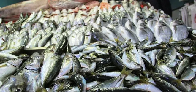 Balık fiyatları yüzde 50 arttı