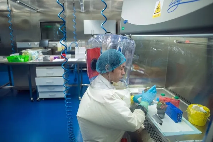 Ezber bozan koronavirüs açıklaması! ’Yarasa Kadın’ Shi Zhengli konuştu