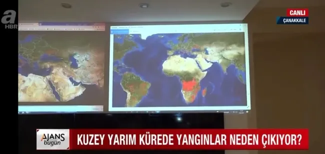 Kuzey Yarım Küre’de neden orman yangınları çıkıyor? Yangınların nedenleri neler?