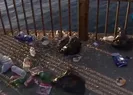 Son dakika: İstanbul sahillerinde kirlilik artıyor! Yenikapı Sahiilinde can yakan görüntüler