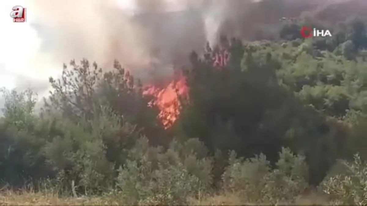 Osmaniye'nin Düziçi ilçesinde çıkan orman yangını söndürüldü