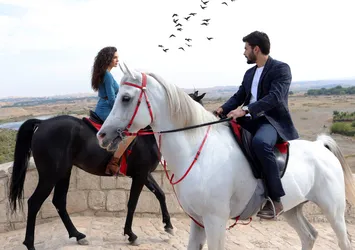 Hercai’den kırılması zor rekor!