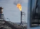 Rusyanın gaz kesintisinden İsviçrede payını aldı!