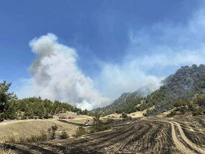 Son dakika: Kahramanmaraş'ta orman yangını! Havadan ve karadan müdahale ediliyor - 3