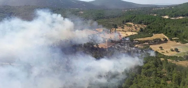 Son dakika: İzmir’de orman yangını