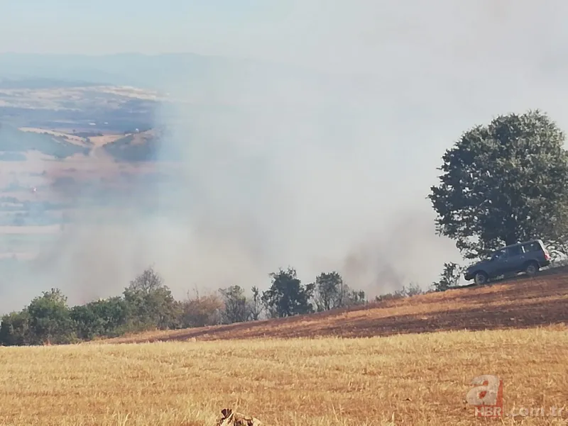 Bursa Yenişehir'de korkutan orman yangını! 17
