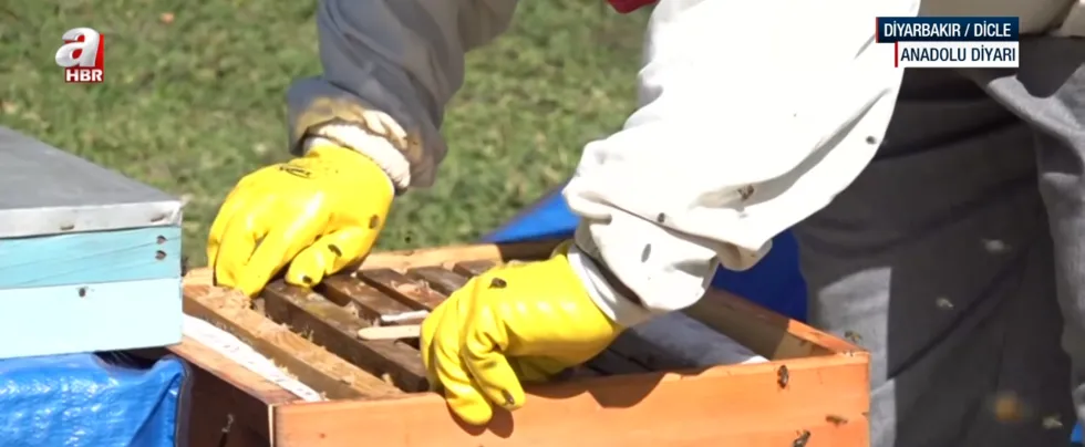 (Foto: ahaber.com.tr)