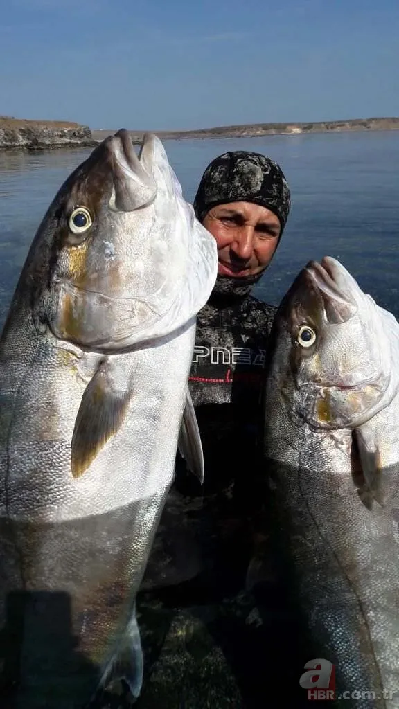 Tüpsüz dalışta, boyu büyüklüğünde balık avlıyor 11