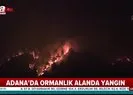Adana’da bir ay içinde üçüncü büyük yangın