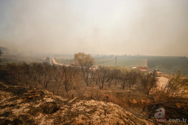 Son dakika: Antalya Manavgat'ta orman yangını! Alevler yerleşim yerlerine sıçradı 17