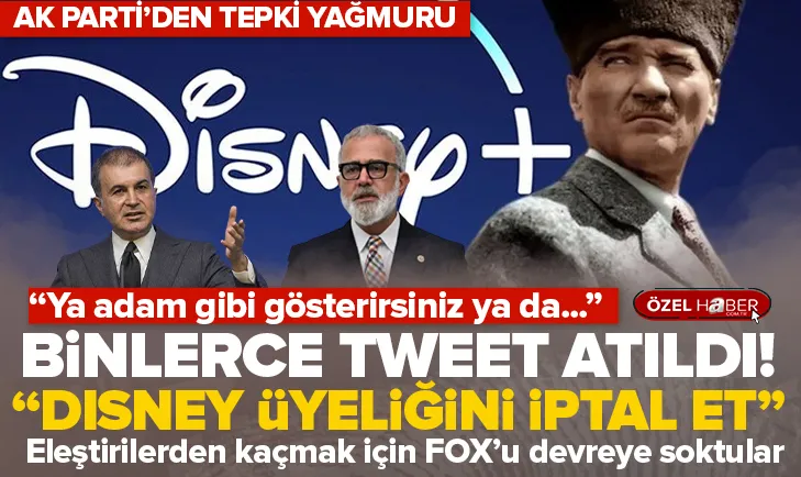 Disney üyeliklerinizi iptal edin