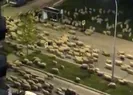 Görüntüler o ilimizden! Cama, balkona koştular...