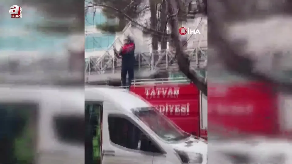 Ağaçta mahsur kalan kedi kurtarıldı