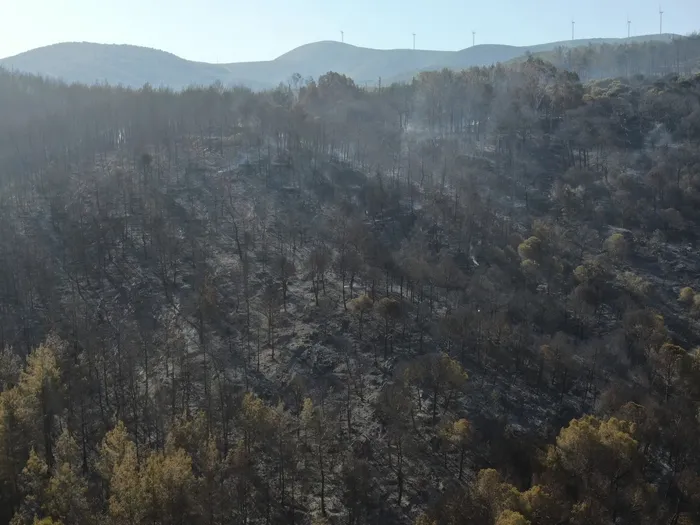 İzmir'deki 3 yangın kontrol altına alındı! Bakan Yumaklı yangınların çıkış nedenini açıkladı - 1